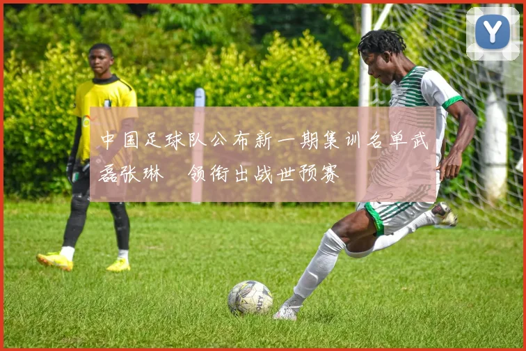 中国足球队公布新一期集训名单武磊张琳芃领衔出战世预赛