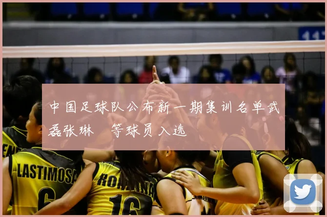 中国足球队公布新一期集训名单武磊张琳芃等球员入选
