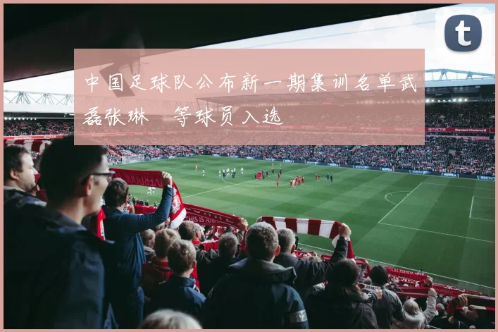 中国足球队公布新一期集训名单武磊张琳芃等球员入选